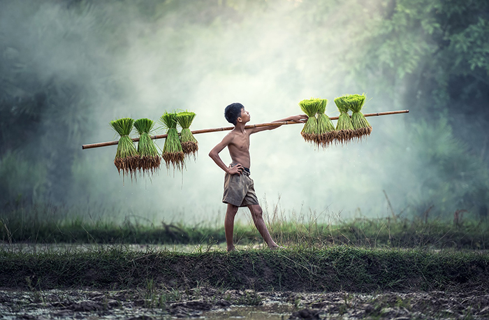 春耕農民 春耕農民